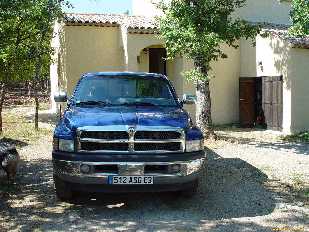 , dodge